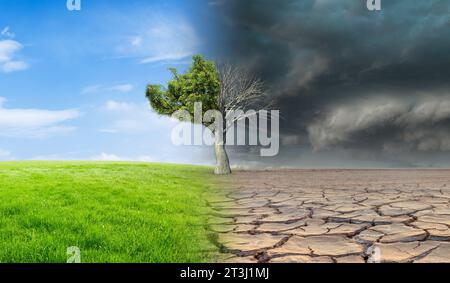 Landschaft mit grünem Gras mit einem Baum und einer getrockneten Wüste. Konzept des globalen Klimawandels. Stockfoto
