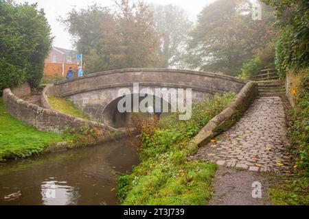 Steinschlangenbrücke auf dem Macclesfield-Kanal in der Landschaft von Cheshire Stockfoto