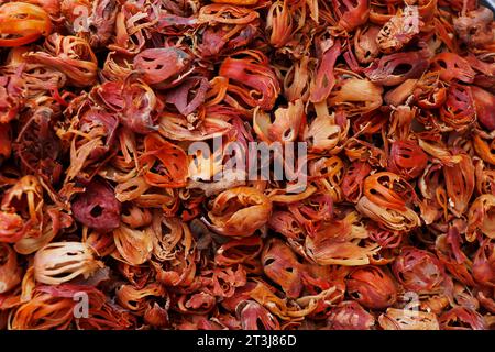 Nuss-Mace, Mace ist das Gewürz, das aus der rötlichen Samenbedeckung (Aril) des Muskatkerns hergestellt wird. Pflanze bekannt als myristica-Duftstoffe Stockfoto