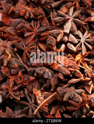 Sternanis, Illicium verum, ist ein mittelgroßer immergrüner Baum, der im Nordosten Vietnams und Südchina beheimatet ist Stockfoto