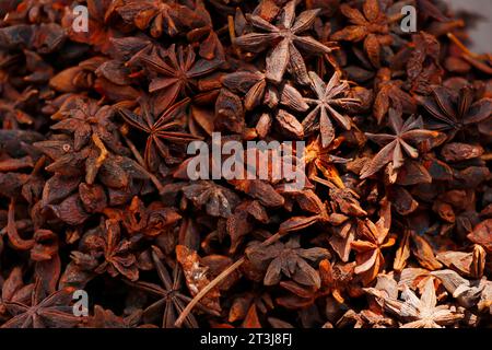 Sternanis, Illicium verum, ist ein mittelgroßer immergrüner Baum aus dem Nordosten Vietnams und Südchina, sternförmige Gewürze Stockfoto