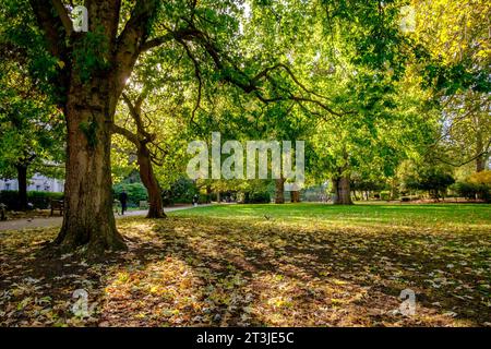 Lincoln's Inn Fields, London, UK Stockfoto