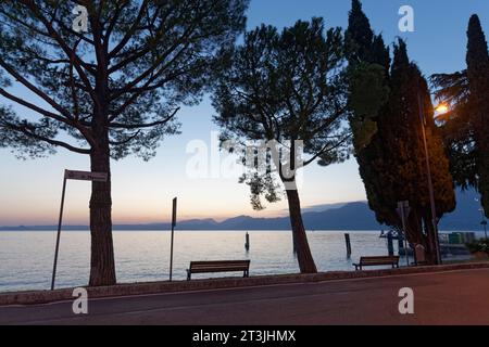 Promenade mit Kiefern am Seeufer, blaue Stunde, Torri del Benaco, Gardasee Ostküste, Provinz Verona, Italien Stockfoto