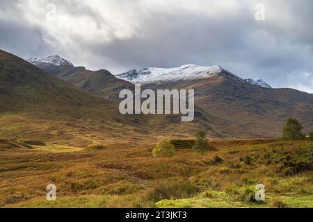 Herbstlandschaft der Highlands mit schneebedeckten Berggipfeln, Glen Sheil Ridge, River Cluanie Valley, Schottland, Großbritannien Stockfoto