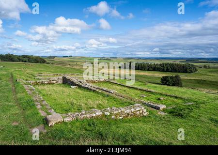 Baureste, Grundmauern eines römischen Forts an der Hadrian's Wall, Housesteads Roman Fort, Haltwhistle, Northumberland, England, Großbritannien Stockfoto