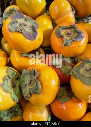 Ein farbenfroher Haufen frischer, reifer Persimmonen in wunderschönen Gelb-, Orange- und Rottönen. Stockfoto