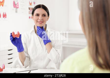 Endokrinologe zeigt Schilddrüsenmodell dem Patienten am Tisch im Krankenhaus Stockfoto