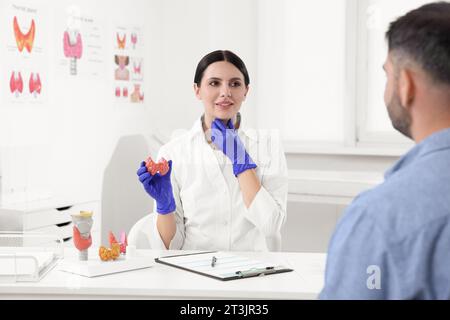 Endokrinologe zeigt Schilddrüsenmodell dem Patienten am Tisch im Krankenhaus Stockfoto