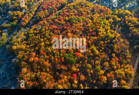 Kanadischer Herbst in Laval, Quebec, aus der Vogelperspektive Stockfoto
