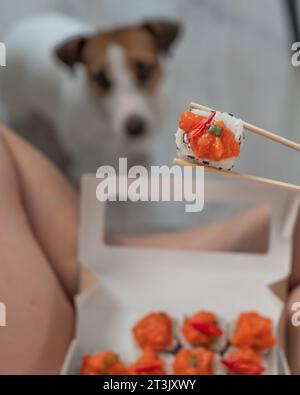 Eine Frau sitzt auf dem Sofa und isst Brötchen. Jack Russell Terrier Hund sitzt auf dem Boden und bittet um Essen von seinem Besitzer. Stockfoto