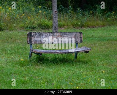 Eine verwitterte Parkbank rechts von der Kamera auf einem grünen Rasen vor etwas bewachsenem Gras und wilden Blumen und einem Baum. Stockfoto