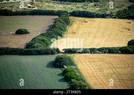 Landwirtschaftliche Felder in Süd-Sardinien - Italien Stockfoto