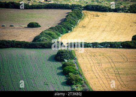 Landwirtschaftliche Felder in Süd-Sardinien - Italien Stockfoto