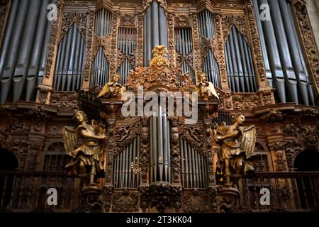 Mexiko-Stadt, Mexiko. Oktober 2023. Der Domchor in der Metropolitan Cathedral in Mexiko-Stadt. Am 25. Oktober 2023 in Mexiko-Stadt, Mexiko (Credit Image: © Luis Barron/eyepix via ZUMA Press Wire) NUR REDAKTIONELLE VERWENDUNG! Nicht für kommerzielle ZWECKE! Stockfoto