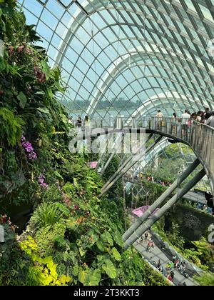 Singapur, Singapur. Oktober 2023. Der Cloud Forest, ein gigantisches Gewächshaus in den Gardens by the Bay. Hier spazieren die Besucher durch einen angenehm kühlen Nebelwald mit einem 35 Meter hohen Berg mit einem Indoor-Wasserfall. Energie wird durch Gartenabfälle erzeugt, Regenwasser wird zur Bewässerung verwendet. Vermerk: Carola Frentzen/dpa/Alamy Live News Stockfoto