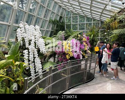 Singapur, Singapur. Oktober 2023. Besucher bewundern Orchideen im National Orchid Garden in Singapur. Die Orchidee ist die Nationalblume des Stadtstaates. Der Garten beherbergt die größte Sammlung der Welt und ist führend in der Kunst der Hybridzucht. (Zu dpa: „Die ganze Stadt ist mein Garten“ - Singapurs grüne Revolution) Credit: Carola Frentzen/dpa/Alamy Live News Stockfoto