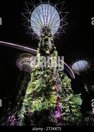 Singapur, Singapur. Oktober 2023. Die Superbäume in den Gärten an der Bucht. Mehr als 160.000 Pflanzen wachsen auf den futuristischen Metallbäumen. Solarzellen erzeugen Strom für die nächtliche „Gartenrhapsodie“, in der die beleuchteten Bäume zu tanzen scheinen. (Zu dpa: „Die ganze Stadt ist mein Garten“ - Singapurs grüne Revolution) Credit: Carola Frentzen/dpa/Alamy Live News Stockfoto