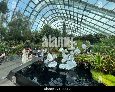 Singapur, Singapur. Oktober 2023. Der Cloud Forest, ein gigantisches Gewächshaus in den Gardens by the Bay. Hier spazieren die Besucher durch einen angenehm kühlen Nebelwald mit einem 35 Meter hohen Berg mit einem Indoor-Wasserfall. Energie wird durch Gartenabfälle erzeugt, Regenwasser wird zur Bewässerung verwendet. Vermerk: Carola Frentzen/dpa/Alamy Live News Stockfoto