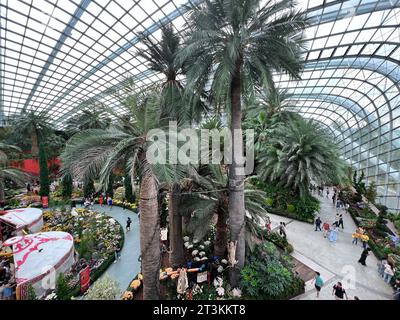 Singapur, Singapur. Oktober 2023. Der Flower Dome, eines der zwei riesigen Gewächshäuser in den Gardens by the Bay. Zehntausende Blumen blühen hier. Seit 2015 steht dieses Wunder im Guinness Buch der Rekorde – als größtes Glasgewächshaus der Welt. Strom wird durch Gartenabfälle erzeugt, Regenwasser dient der Bewässerung. (Zu dpa: „Die ganze Stadt ist mein Garten“ - Singapurs grüne Revolution) Credit: Carola Frentzen/dpa/Alamy Live News Stockfoto