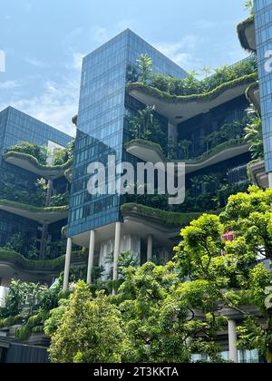 Singapur, Singapur. Oktober 2023. Das Parkroyal on Pickering Hotel ist ein Schaufenster für vertikale Begrünung. Himmelsgärten, hängende Pflanzenwände und reflektierende Wasserbecken fließen durch das Gebäude. Auf 15.000 Quadratmetern wachsen 50 verschiedene Arten, darunter viele exotische Gattungen. (Zu dpa: „Die ganze Stadt ist mein Garten“ - Singapurs grüne Revolution) Credit: Carola Frentzen/dpa/Alamy Live News Stockfoto