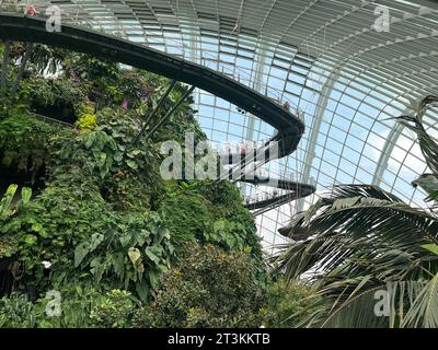 Singapur, Singapur. Oktober 2023. Der Cloud Forest, ein gigantisches Gewächshaus in den Gardens by the Bay. Hier spazieren die Besucher durch einen angenehm kühlen Nebelwald mit einem 35 Meter hohen Berg mit einem Indoor-Wasserfall. Energie wird durch Gartenabfälle erzeugt. Regenwasser wird zur Bewässerung verwendet. (Zu dpa: „Die ganze Stadt ist mein Garten“ - Singapurs grüne Revolution) Credit: Carola Frentzen/dpa/Alamy Live News Stockfoto