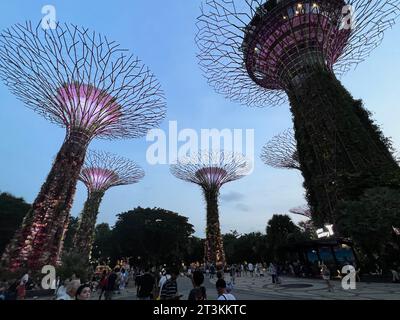 Singapur, Singapur. Oktober 2023. Die Superbäume in den Gärten an der Bucht. Mehr als 160.000 Pflanzen wachsen auf den futuristischen Metallbäumen. Solarzellen erzeugen Strom, und die Bäume sammeln auch Regenwasser. Vermerk: Carola Frentzen/dpa/Alamy Live News Stockfoto