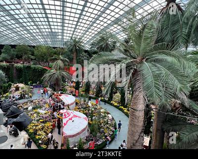 Singapur, Singapur. Oktober 2023. Der Flower Dome, eines der zwei riesigen Gewächshäuser in den Gardens by the Bay. Zehntausende Blumen blühen hier. Seit 2015 steht dieses Wunder im Guinness Buch der Rekorde – als größtes Glasgewächshaus der Welt. Strom wird durch Gartenabfälle erzeugt, Regenwasser dient der Bewässerung. Vermerk: Carola Frentzen/dpa/Alamy Live News Stockfoto