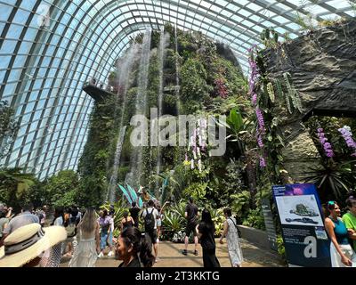 Singapur, Singapur. Oktober 2023. Der Cloud Forest, ein gigantisches Gewächshaus in den Gardens by the Bay. Hier spazieren die Besucher durch einen angenehm kühlen Nebelwald mit einem 35 Meter hohen Berg mit einem Indoor-Wasserfall. Energie wird durch Gartenabfälle erzeugt. Regenwasser wird zur Bewässerung verwendet. (Zu dpa: „Die ganze Stadt ist mein Garten“ - Singapurs grüne Revolution) Credit: Carola Frentzen/dpa/Alamy Live News Stockfoto