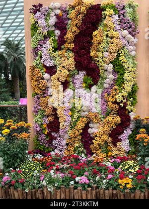 Singapur, Singapur. Oktober 2023. Vertikal wachsende Blumen im Flower Dome, einem der beiden riesigen Gewächshäuser in den Gardens by the Bay. Das Wunder ist seit 2015 im Guinness-Buch der Rekorde – als größtes Glasgewächshaus der Welt. Strom wird durch Gartenabfälle erzeugt, Regenwasser dient der Bewässerung. Vermerk: Carola Frentzen/dpa/Alamy Live News Stockfoto