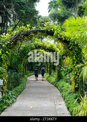 Singapur, Singapur. Oktober 2023. Besucher schlendern durch einen der vielen Parks in Singapur. Der südostasiatische Stadtstaat gilt als eine der grünsten Metropolen der Welt. (Zu dpa: „Die ganze Stadt ist mein Garten“ - Singapurs grüne Revolution) Credit: Carola Frentzen/dpa/Alamy Live News Stockfoto