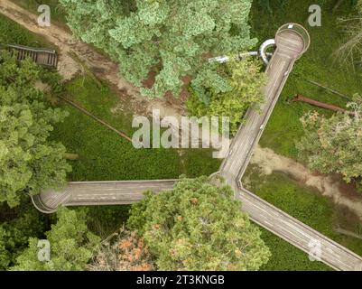 Holzpromenade in einem Wald. Blick aus der Vogelperspektive auf einen grünen Bereich mit Holzsteg. Jeli arboretum in der Nähe der Stadt Kám, Ungarn, Europa Stockfoto