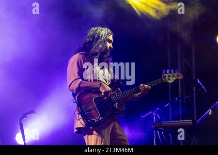 Mailand Italien 17. Oktober 2023 Junge Riese im Circolo Magnolia Segrate Mailand © Roberto Finizio / Alamy Stockfoto