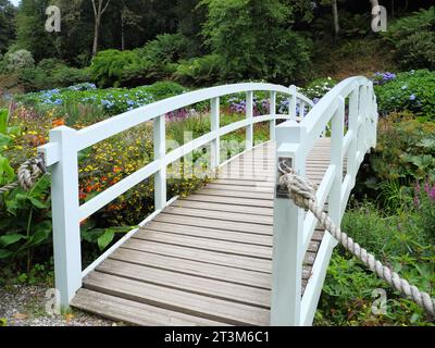 Eine gekrümmte weiße Brücke zwischen blühenden Hortensien in Trebah Garden, Cornwall, England Stockfoto