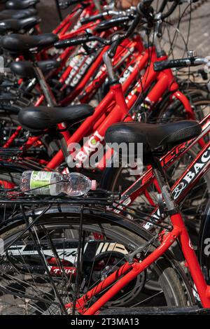 Fahrrad-Sharing-Programm, Dockingstation. Rote Fahrräder verschlossen, hintereinander geparkt. Ökologischer Alternativverkehr. Rom, Italien, Europa, EU. Nahaufnahme Stockfoto