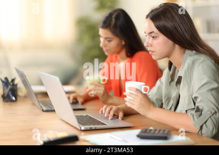 Zwei Tele-Mitarbeiter, die zu Hause auf Laptops arbeiten Stockfoto