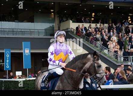 Ascot, Berkshire, Großbritannien. Oktober 2023. Horse Angel Bleu, geritten von Jockey Hector Crouch, geht auf die Rennstrecke, bevor die Queen Elizabeth II beim QIPCO British Champions Day auf der Ascot Racecourse auf den Einsatz kommt. Eigentümer Marc Chan & Nurlan Bizkov. Trainer Ralph Beckett, Kimpton Unten. Züchter Pan Sutong Racing Bloodstock. Sponsor R M Beckett Ltd Kredit: Maureen McLean/Alamy Stockfoto