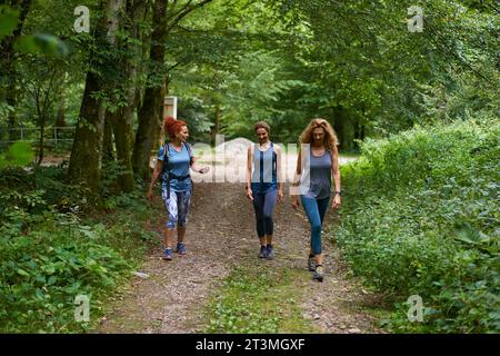 Drei Freundinnen gehen auf einem Wanderweg im Wald Stockfoto