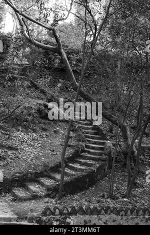 Schwarz-weiße Wendeltreppe im verzauberten grünen Waldgarten, Rodini Park, Rhodos, Griechenland in Schwarz-weiß Stockfoto