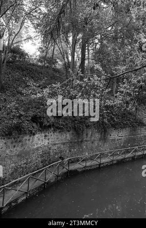 Die violetten Blüten der Gattung Cercis blühen über dem Fluss des Rodini Parks, einer berühmten Attraktion des Stadtparks auf Rhodos, Griechenland, in Schwarz-weiß Stockfoto