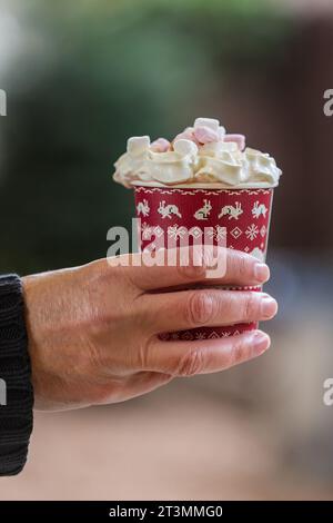Eine Hand hält eine Einwegbecher mit heißer Schokolade, garniert mit Marshmallows und Schlagsahne Stockfoto