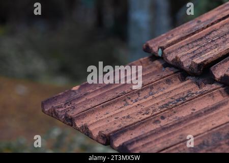 Der Dachwinkel eines Hauses, das mit roten Fliesen bedeckt ist. Ein altehrwürdiges Dach, das mit Moos bedeckt ist. Stockfoto