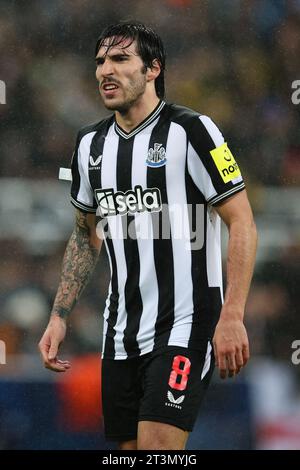 NEWCASTLE UPON TYNE, Großbritannien - 25. Oktober 2023: Sandro TONALi von Newcastle United reagiert während des UEFA Champions League-Gruppenspiels zwischen Newcastle UN Stockfoto