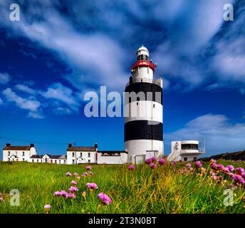 Hookhead Lighthouse, County Wexford, Irland Stockfoto