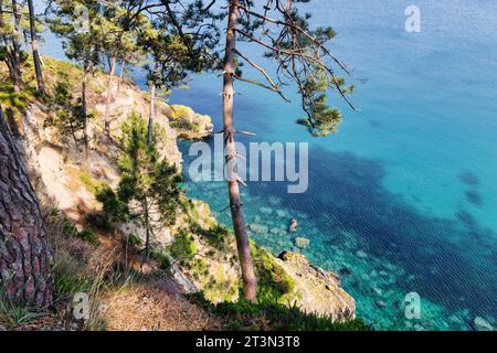 Bild mit Blick auf die Küste in der Nähe der Pointe des Espagnols auf der Halbinsel Crozon, Bretagne, Frankreich Stockfoto