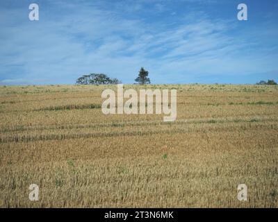 Panorama der schottischen Lowlands zwischen Dundee und Aberdeen Stockfoto