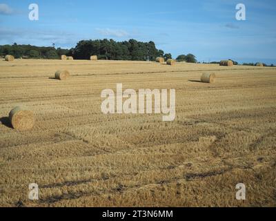 Panorama der schottischen Lowlands zwischen Dundee und Aberdeen Stockfoto