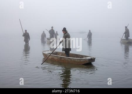 Fischteich, Fischer auf Stacheln, Herbstfischen, Herbstfang des Teichs, Herbst, entwässerter Teich, Watfischer Stockfoto