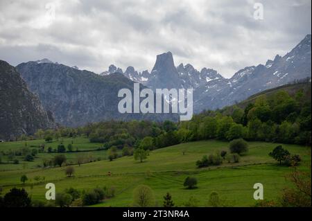 Panoramaaussicht auf Naranjo de Bulnes oder PICU Urriellu, Kalksteingipfel aus der paläozoischen Ära, in der zentralen Region Macizo Picos de Europa, m Stockfoto