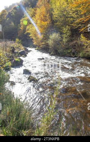 Herbstlandschaft mit einem kleinen Wasserfall im Wald Stockfoto