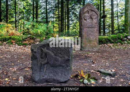 Eine aufrechte Grabstele im keltischen Lager La Bure, einer befestigten Hochburg, die an das Haute-Meurthe-Tal grenzt, Grand-East von Frankreich. Stockfoto